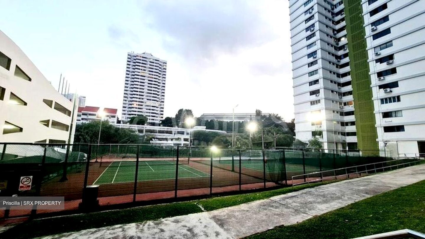 Braddell View (D20), Apartment #497409701